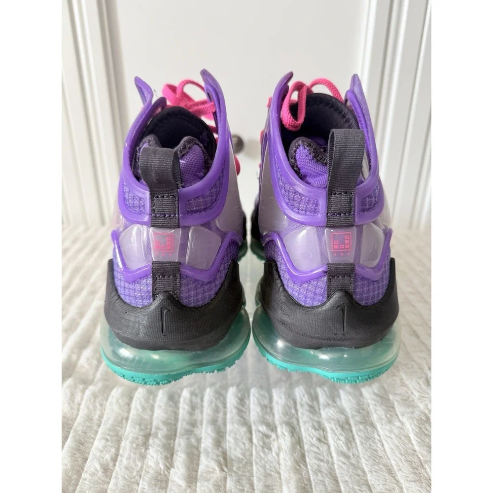 Nike Air Max LeBron 